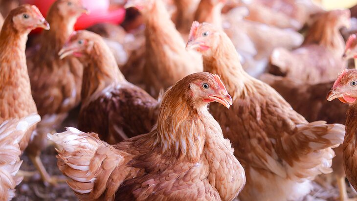 ������ � ����� ������� ����������� ������� ������ ������ � ������ 140 �����