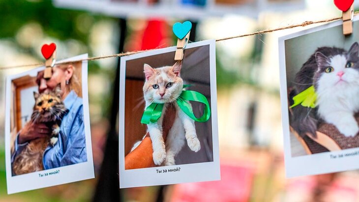 � ������� "�������� ���������" ������� ����������� ������� "����������"