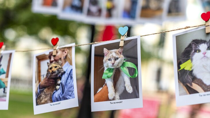 ������ ������ ������� ����� ������� "���������� � ������������ ����"