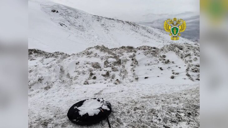 ���� ����� ������� ��� ����� ������ � ������������ �������