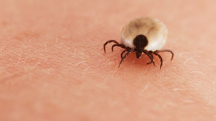 ��������������� ������� � ������ ���������� � �������� ��-�� ������ ������