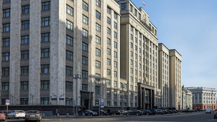 ГД приняла закон об ответственности за вовлечение детей в диверсии