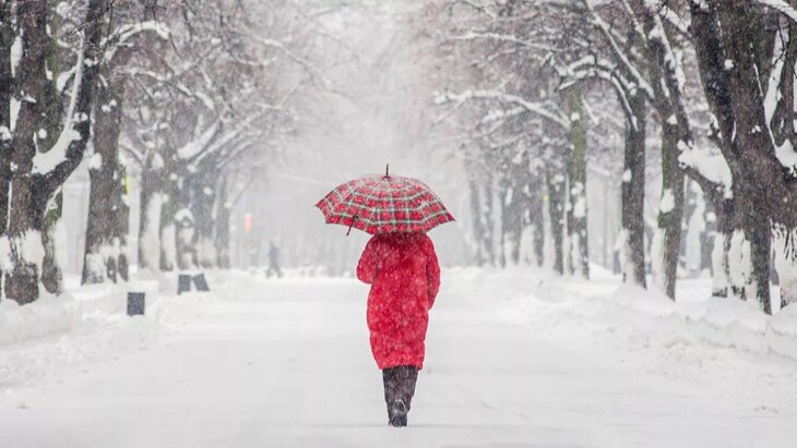 ����� 50% �������� ����� ������� ������� � ������� 19 �������