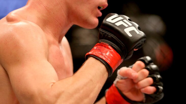    ,     UFC  2025 
