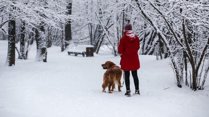 ������ �������� ������� � ������ ��������� ������������� �����