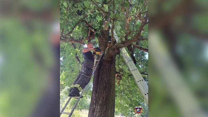 � ������������� ������� ������� ���������� � ����� �����