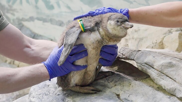 ����� ������� ��������� ���������� ��������� � ���������� ��������