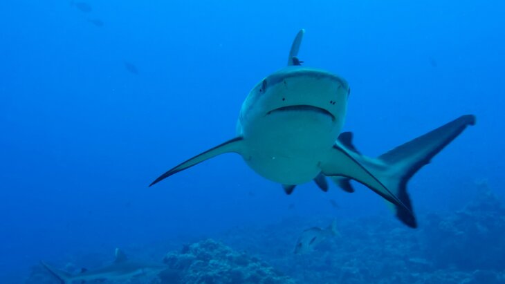 ������ ����� ����� ��������� ����� � ����� ���������