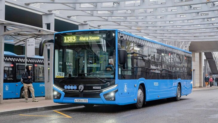    Citymax 12    