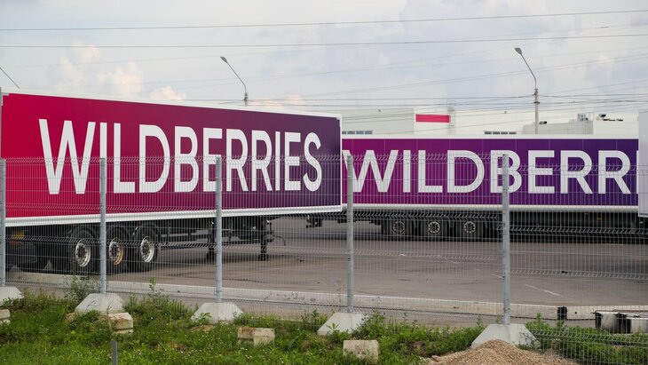 ����� � ���������� Wildberries � ����� �����������