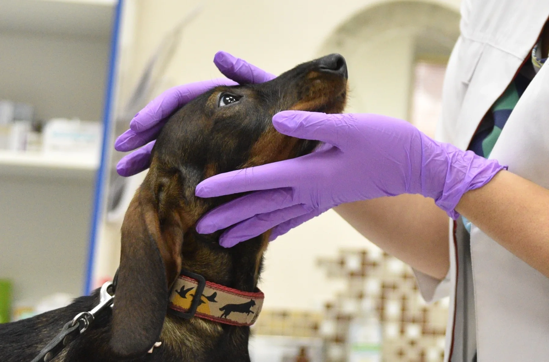 ����� 280 ��������� ������� ���������� �� ��������� ��������� � ������ � ������