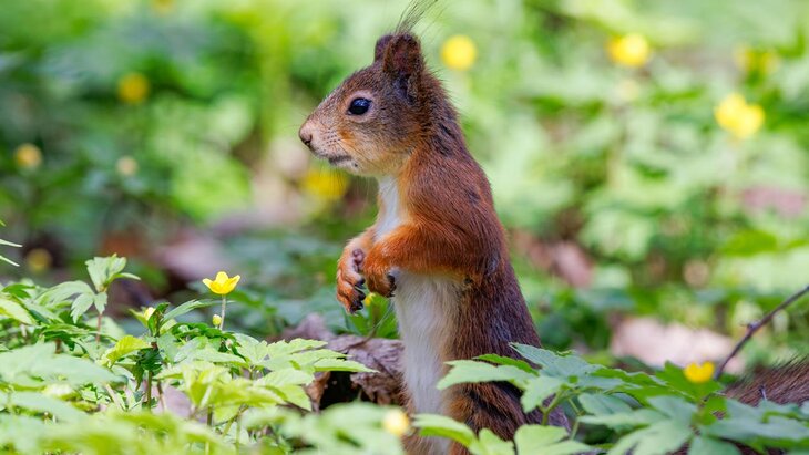 ������������ ����� ��������� ��������� ����������� ������ ���� ������� � ���