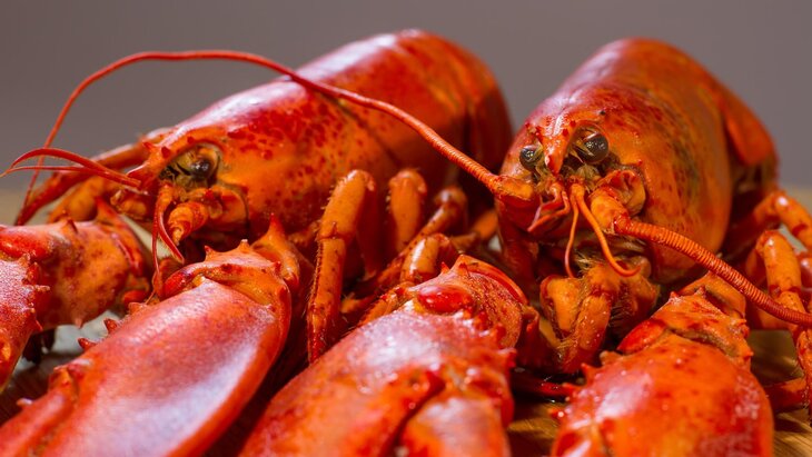 ����������� � ��� ������ ����� ��������� ���������� 400 ����� ��������