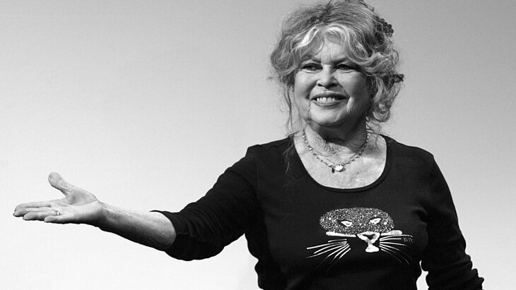 ������� ������ ����� ����� ���������� � ����� ���� � ����