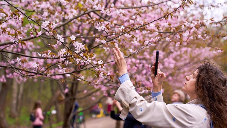 ������ ���������, ��� � ������ �������� ������