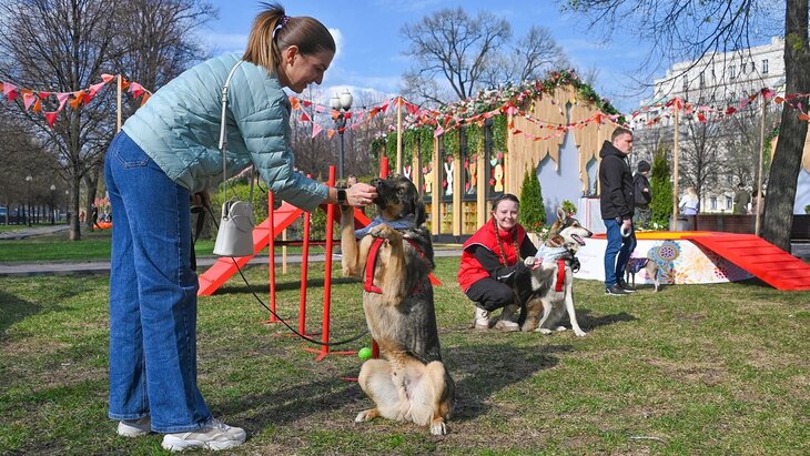 ����������� "���������� � ������������ ����" ������� �� �������� ��������