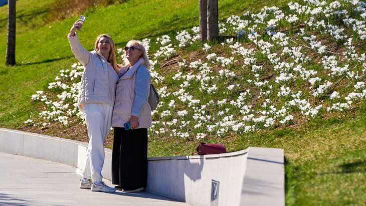 ������� ��������� � 2026 ���� ����� ������ ��������� �� 8 ���